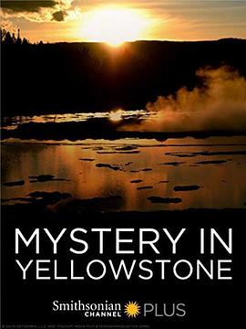 别再被区别日本AV组织