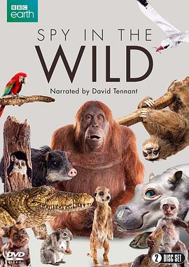 你被诈了亚洲国产成人未满十八